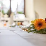 Hotel Stadt-gut-hotel Goldener Adler 3*