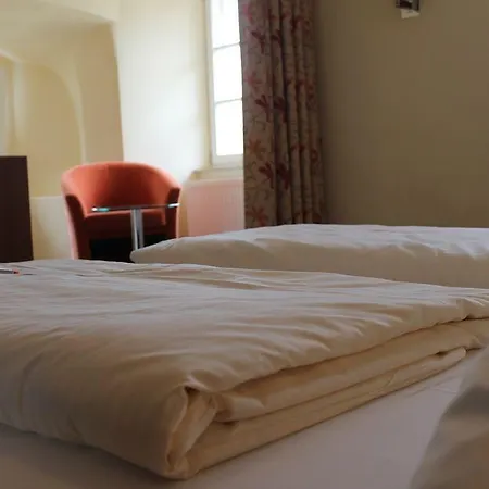 Stadt-gut-hotel Goldener Adler Hotel 3*