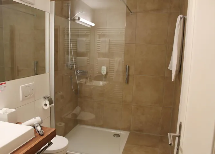 فندق Stadt-gut-hotel Goldener Adler 3*